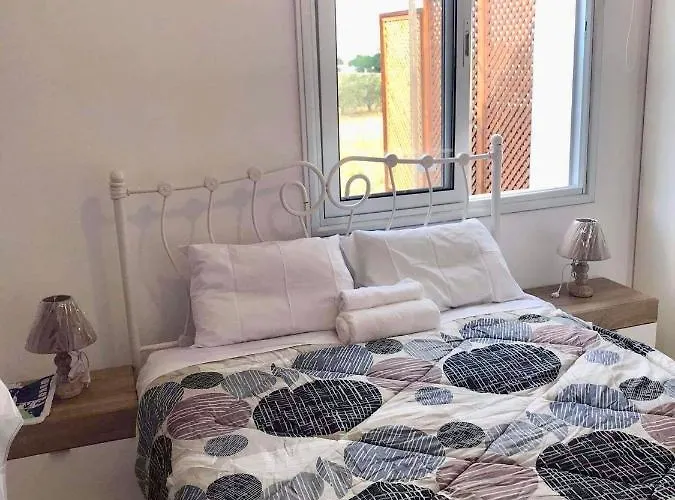 El Sueno Daire Latchi